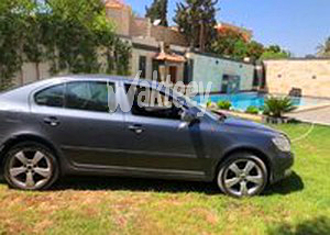 skoda-fantzya-2010-aaal-fy-big-4