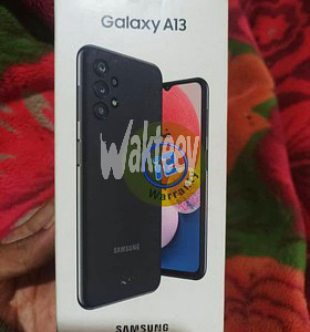 samsong-a13-big-1