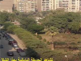 shkh-llbyaa-f-hloan-sharaa-mstf-sfot-aldor-alsabaa