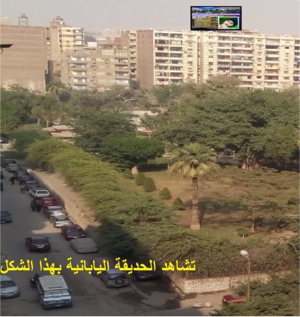 shkh-llbyaa-f-hloan-sharaa-mstf-sfot-aldor-alsabaa-big-0