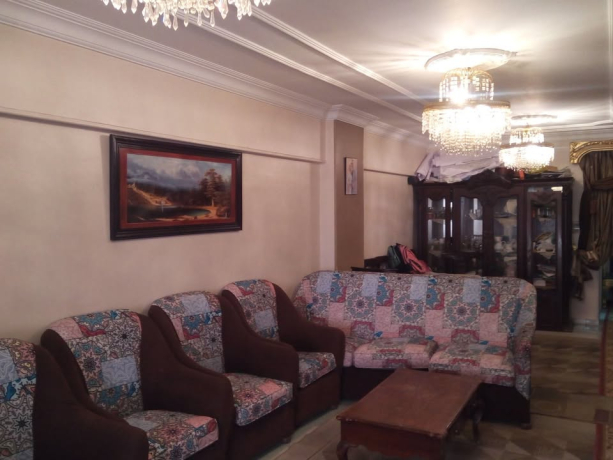 shkh-llbyaa-f-hloan-sharaa-mstf-sfot-aldor-alsabaa-big-1